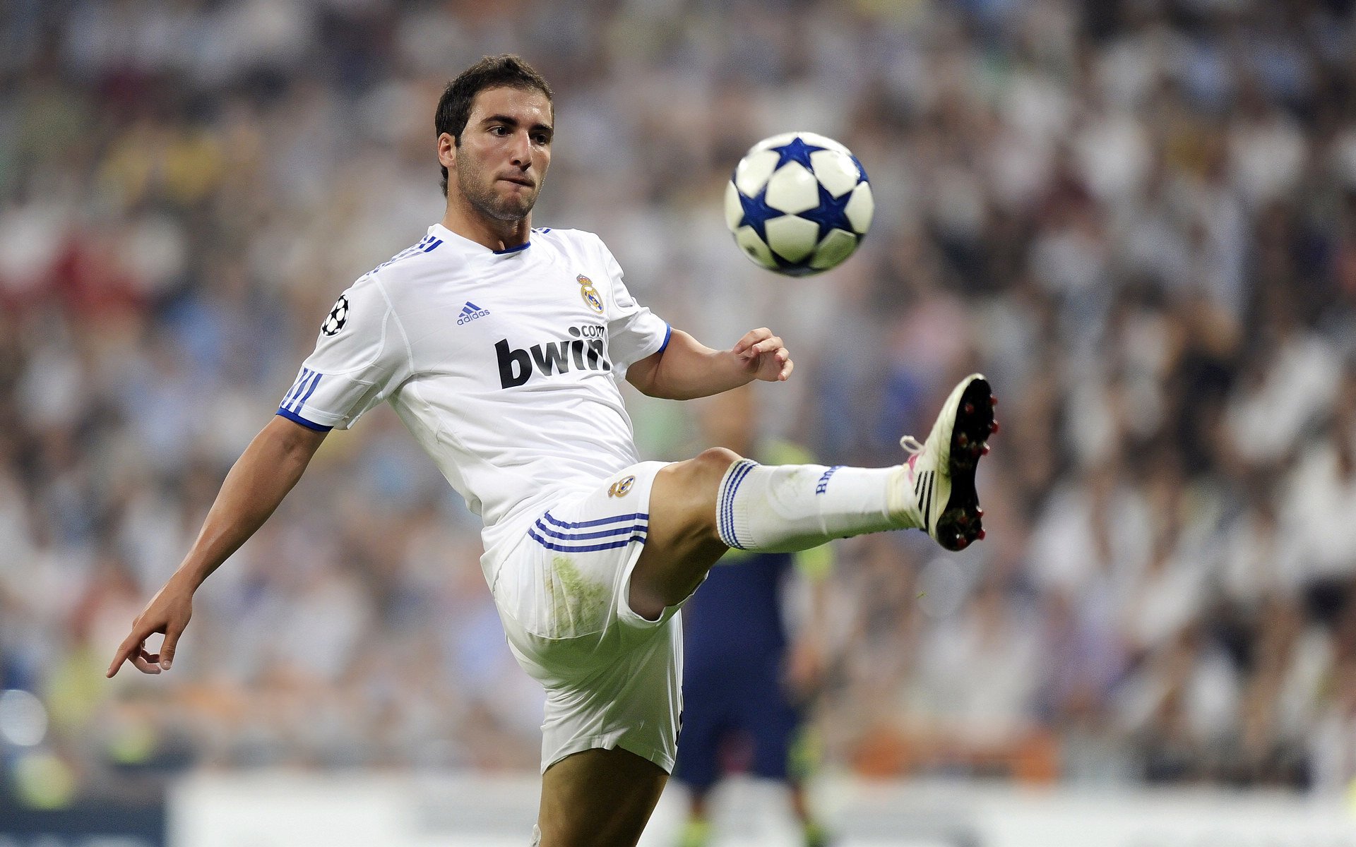 乐鱼官网-“英超冠军你追我赶，夺冠悬念逐步揭晓”，英超冠军的含金量