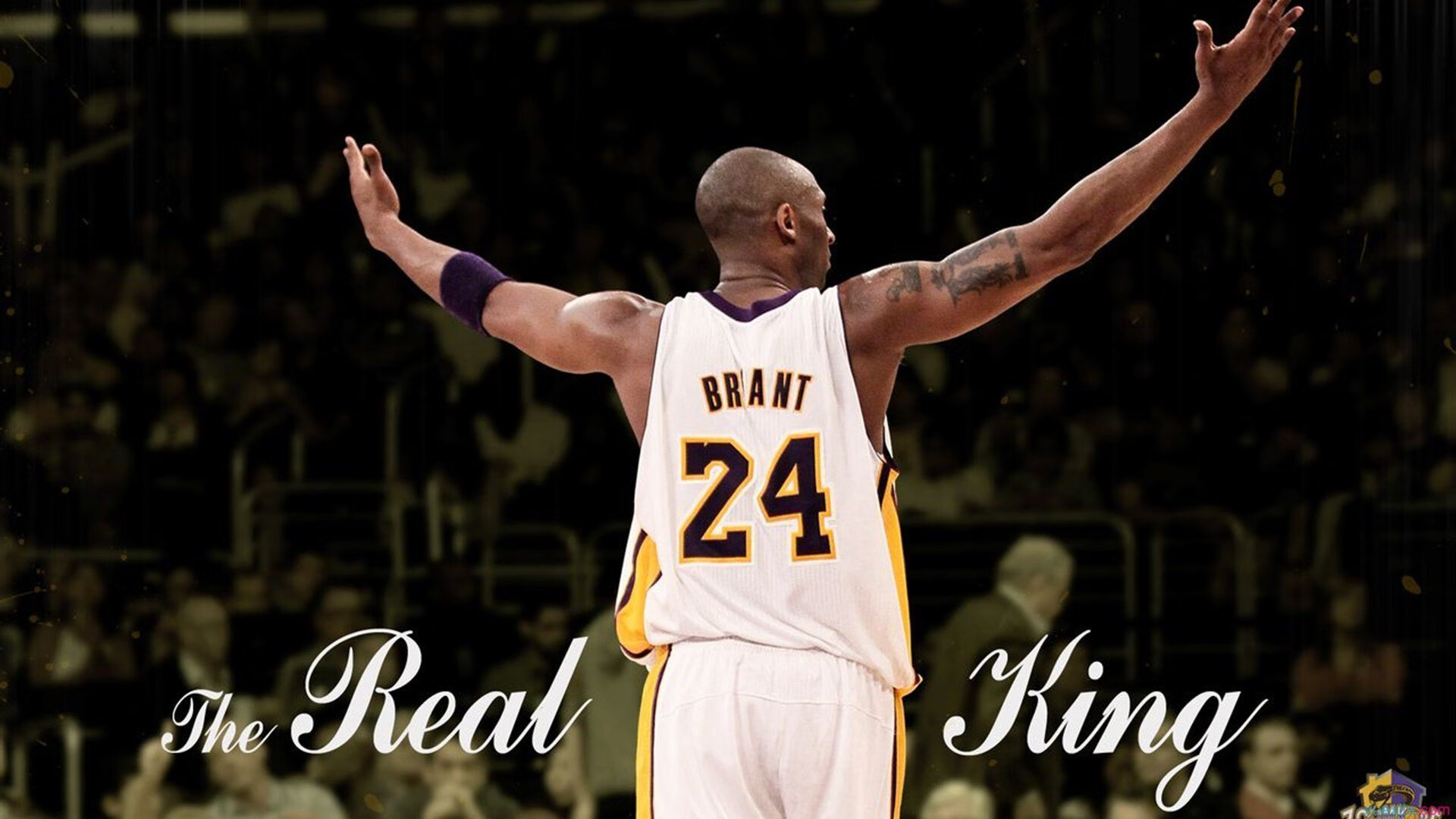 从比分看胜负：本周比赛最令人振奋的战绩，比分数据