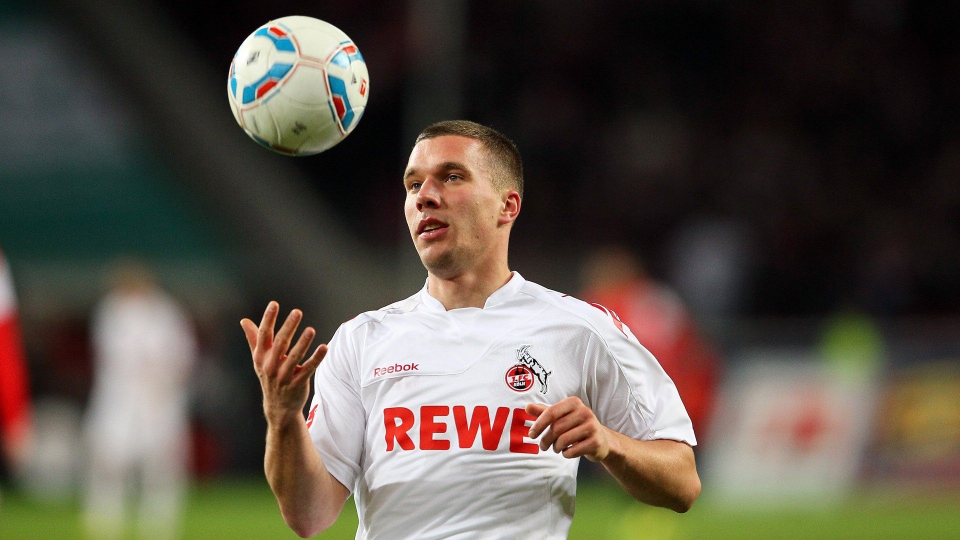 北极探险赛：极地挑战的无畏精神，北极探索